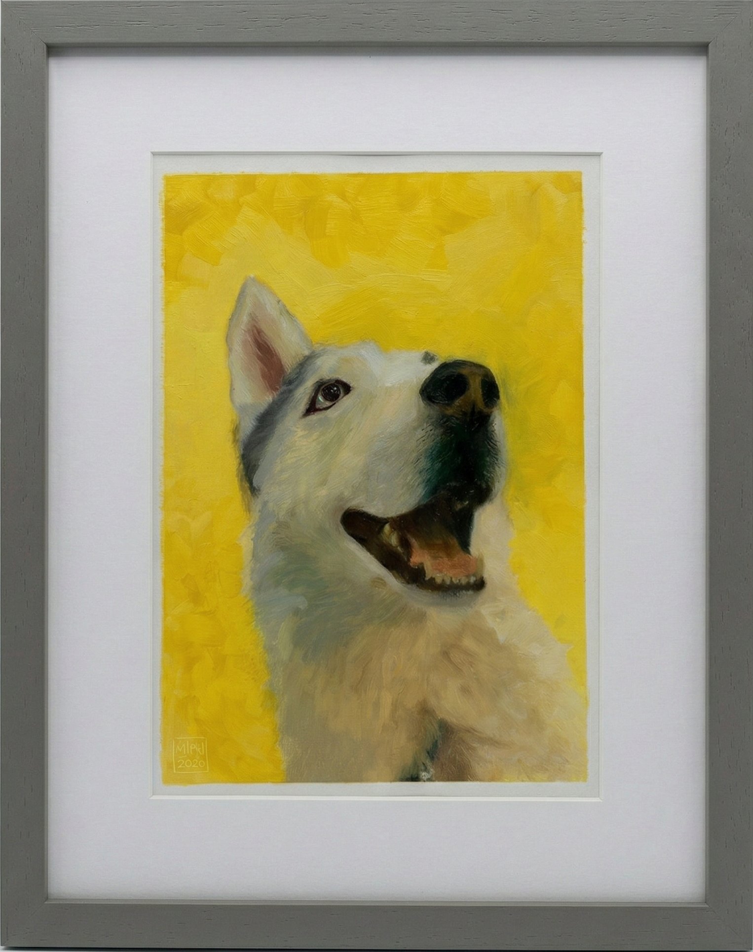 Hyko by Riccardo Solesin